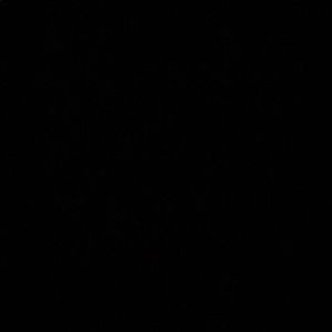 Meet your Posher, Charlotte